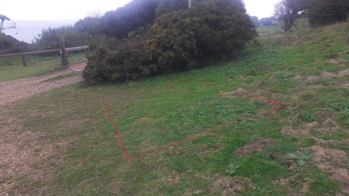 Rural pasture with survey markers on grassy field, wooden fence, and dense green vegetation in background